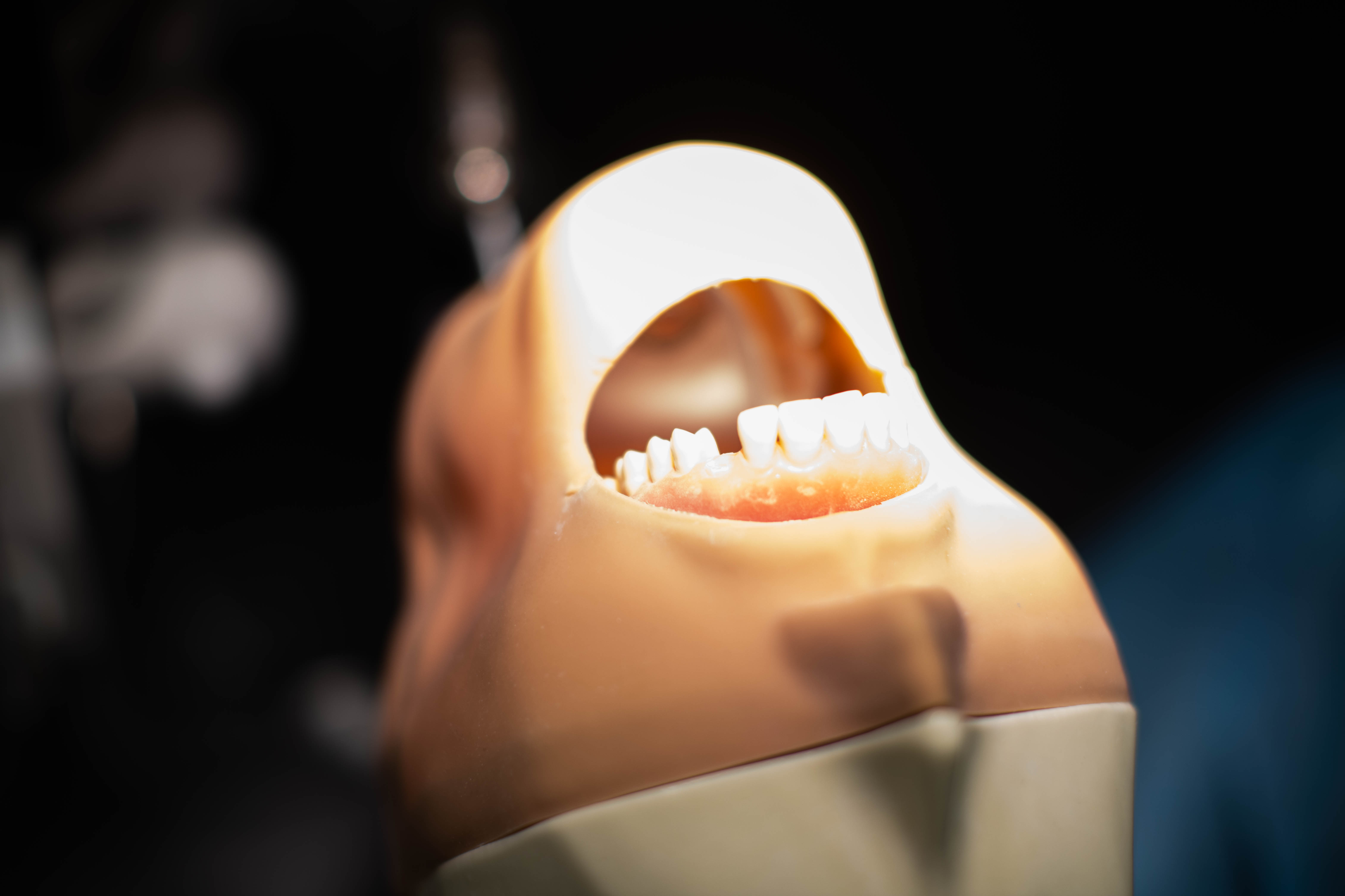 Oral Surgery Bundle